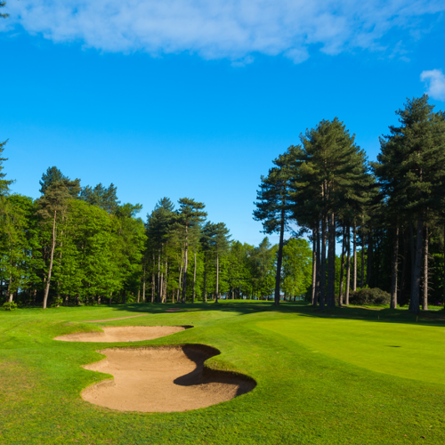 <p>FOREST 3RD GREEN</p>