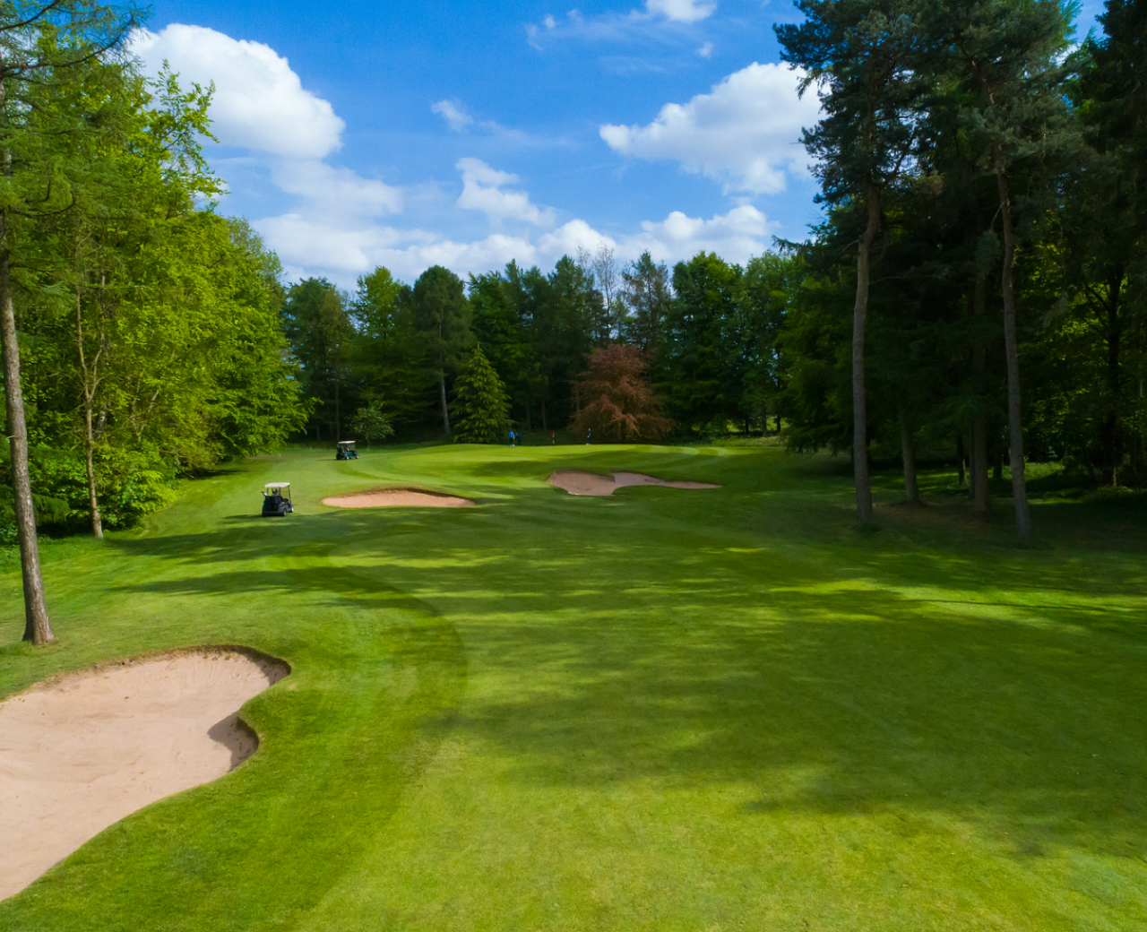 Forest Pines Golf Course