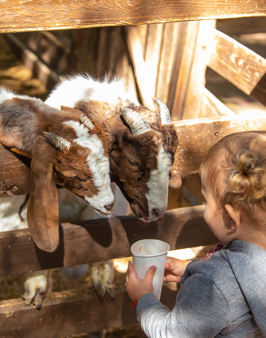 Crosssell Desktop Primary CTA Ttd