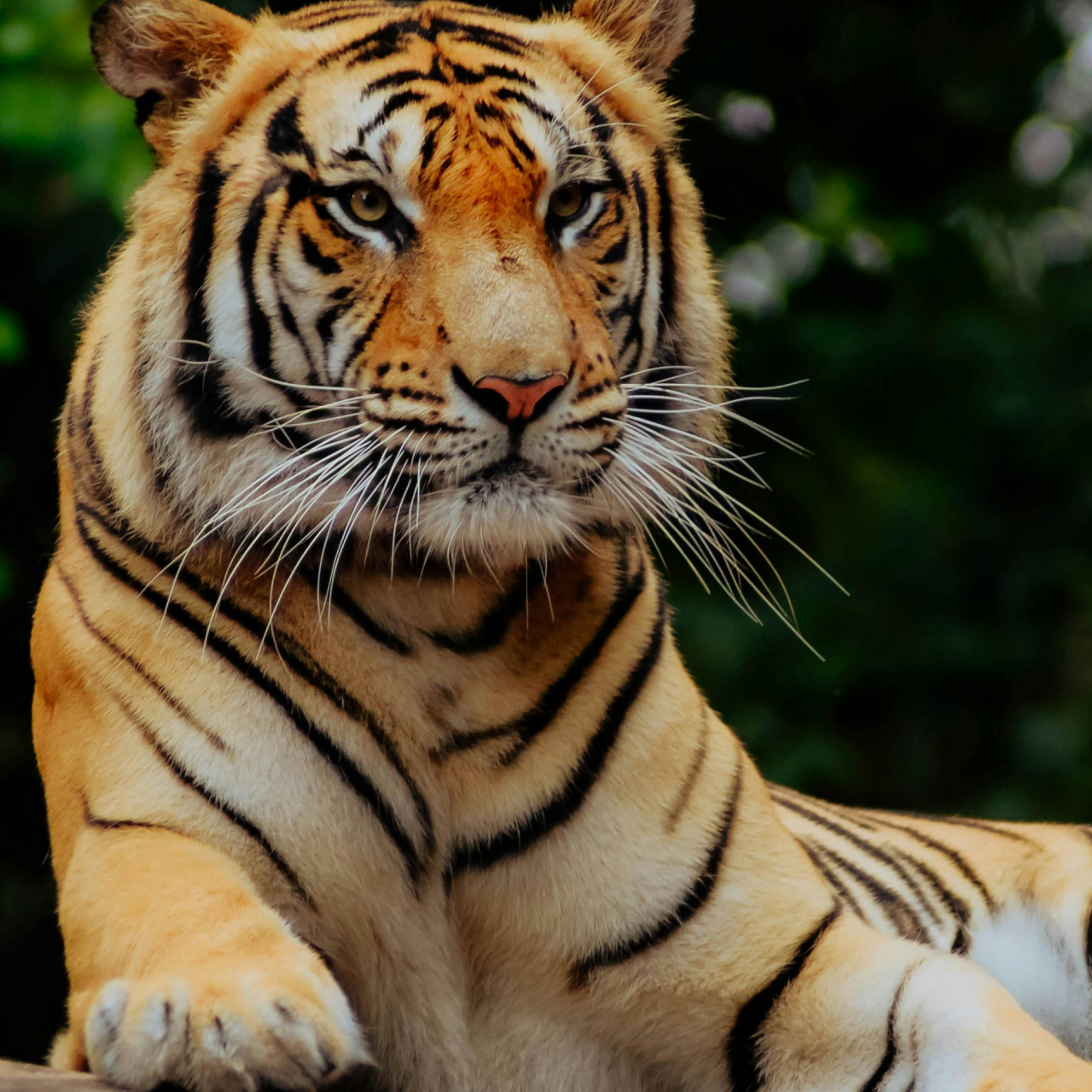 Wolds Wildlife Park 5050