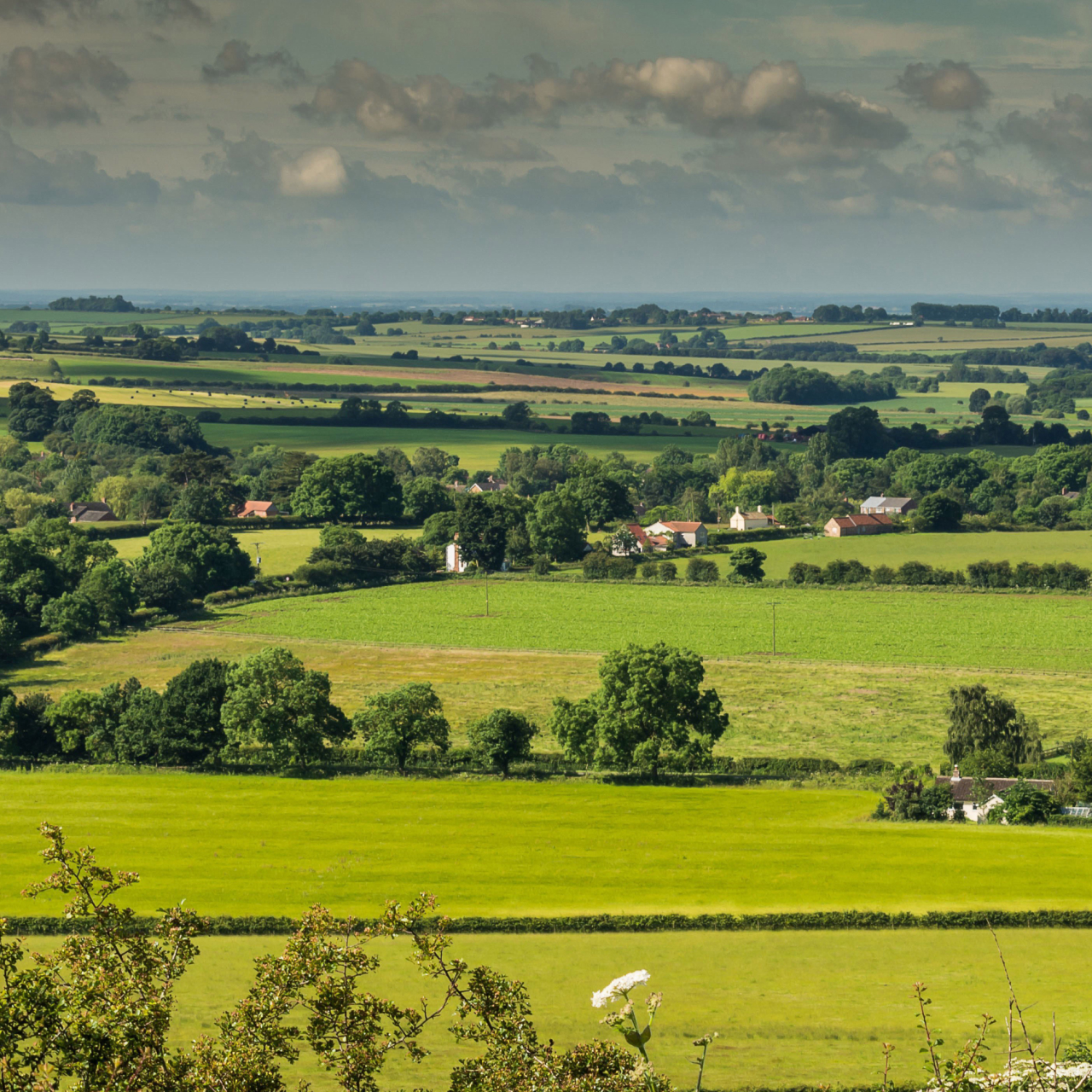 Lincolnshire Wolds 5050