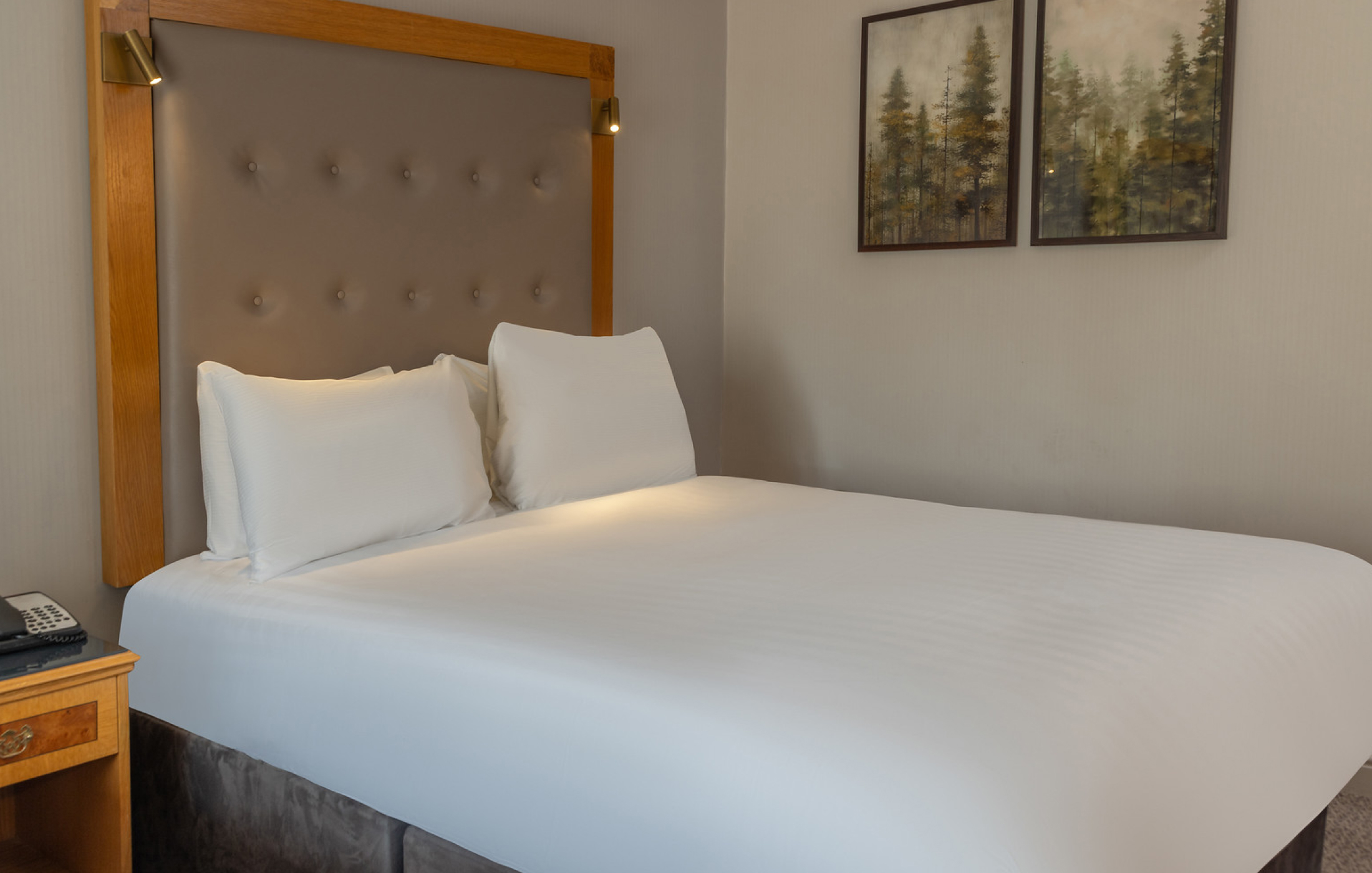 Deluxe Gallery X Deluxe Family 5