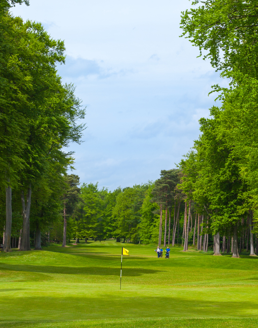 Crosssell Desktop Primary CTA 3 (Map)