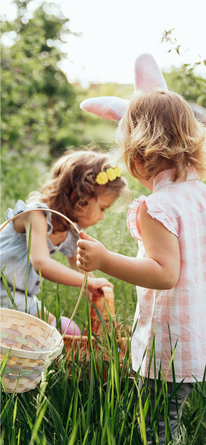 Oultonhall Easter Inner Desktop