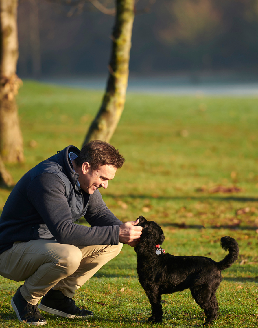 Crosssell Desktop Primary CTA 2 (Walks)