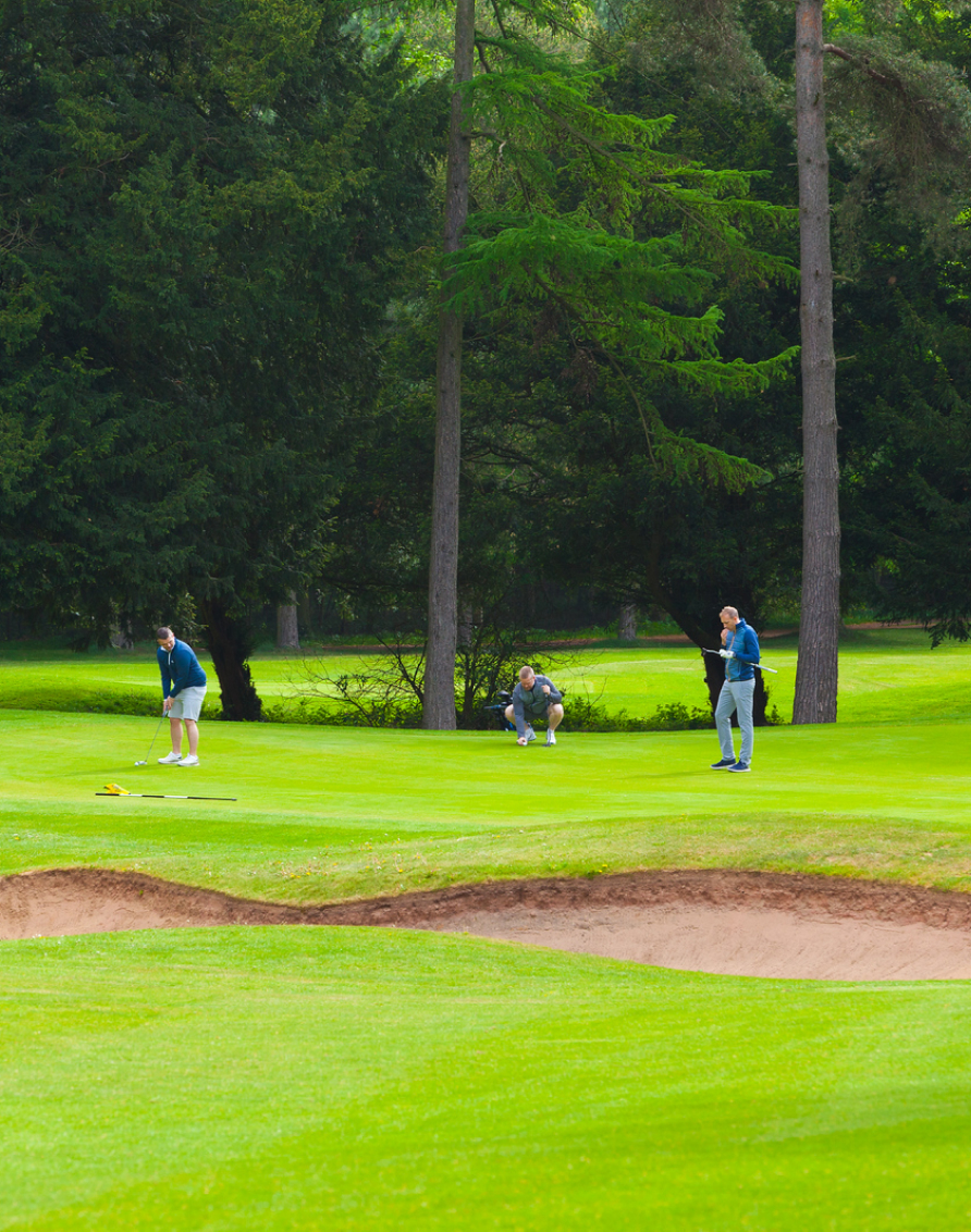 Crosssell Desktop Primary CTA 2C (Corporate Golf)