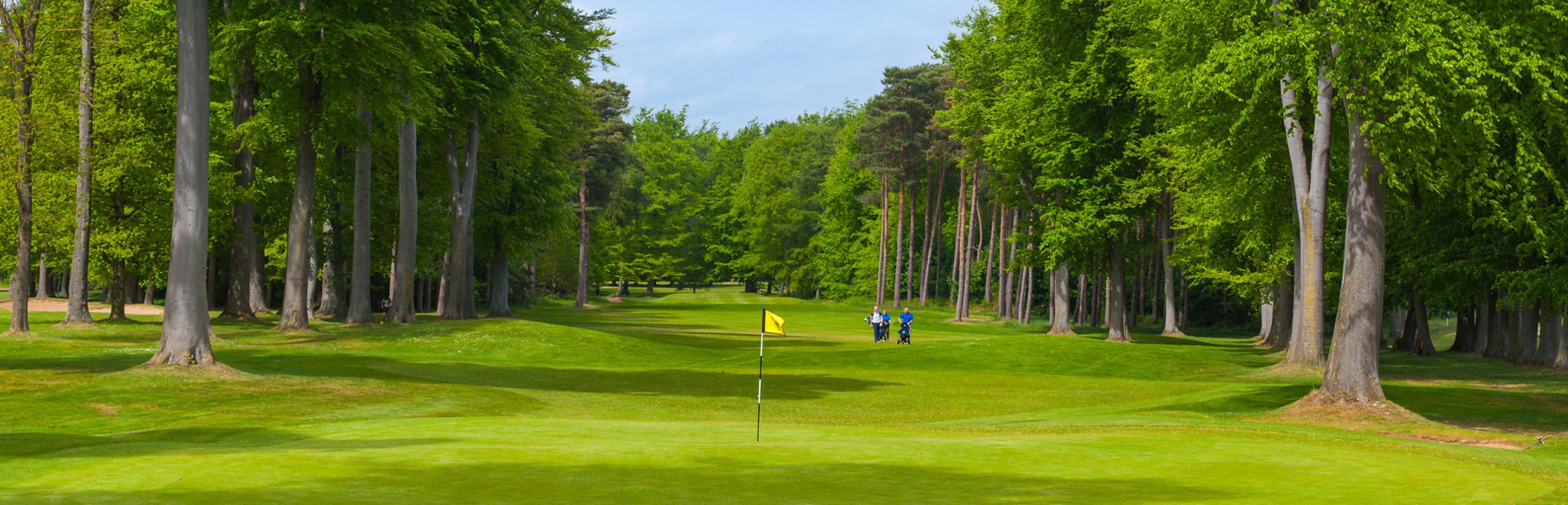 <p><em>Early Bird </em><em>2027 Golf Breaks</em></p> image