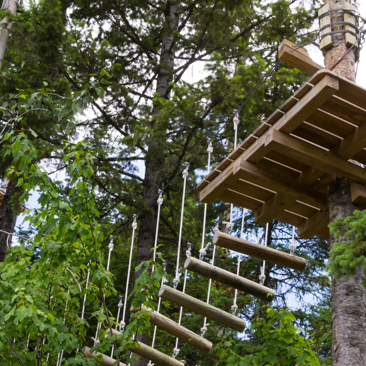 Go Ape 5050