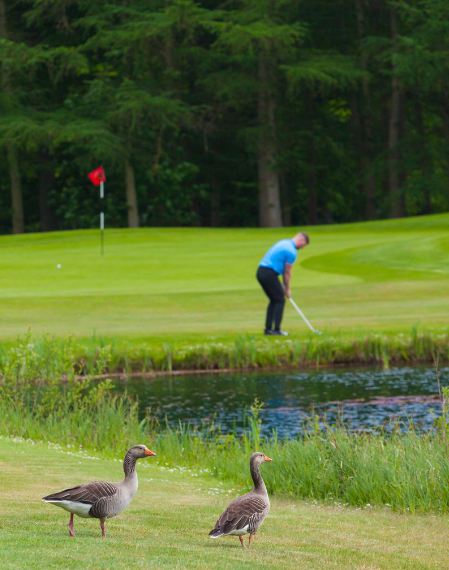 MAY HALF TERM Crosssell Desktop Primary CTA Golf