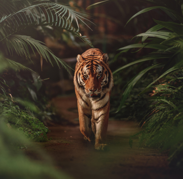 Keyinformation Desktop 01 Key Information Wolds Wildlife Park