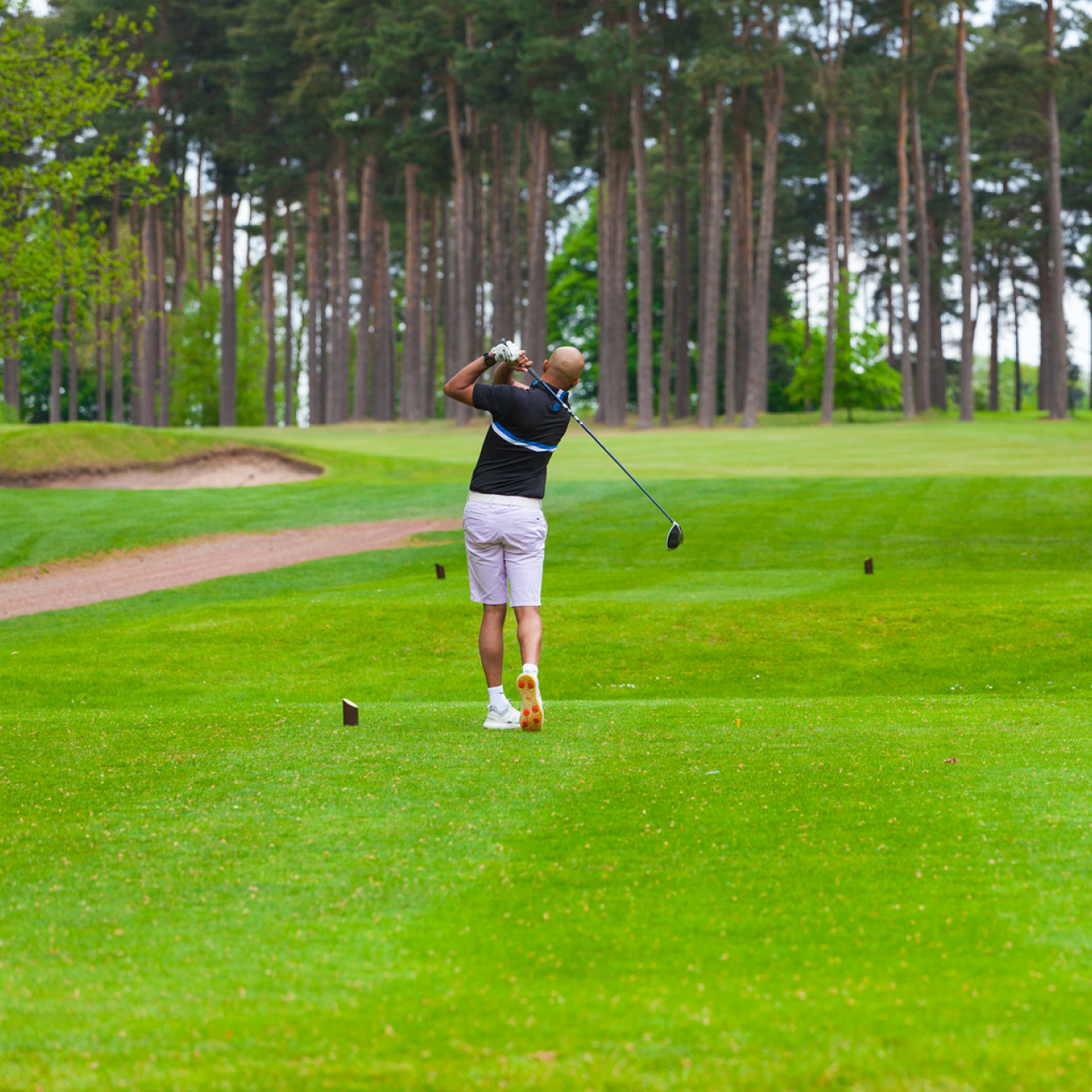 5050 Desktop 5050 2 Lessons