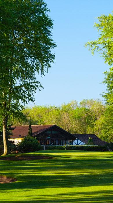Forest Golf Testimonial