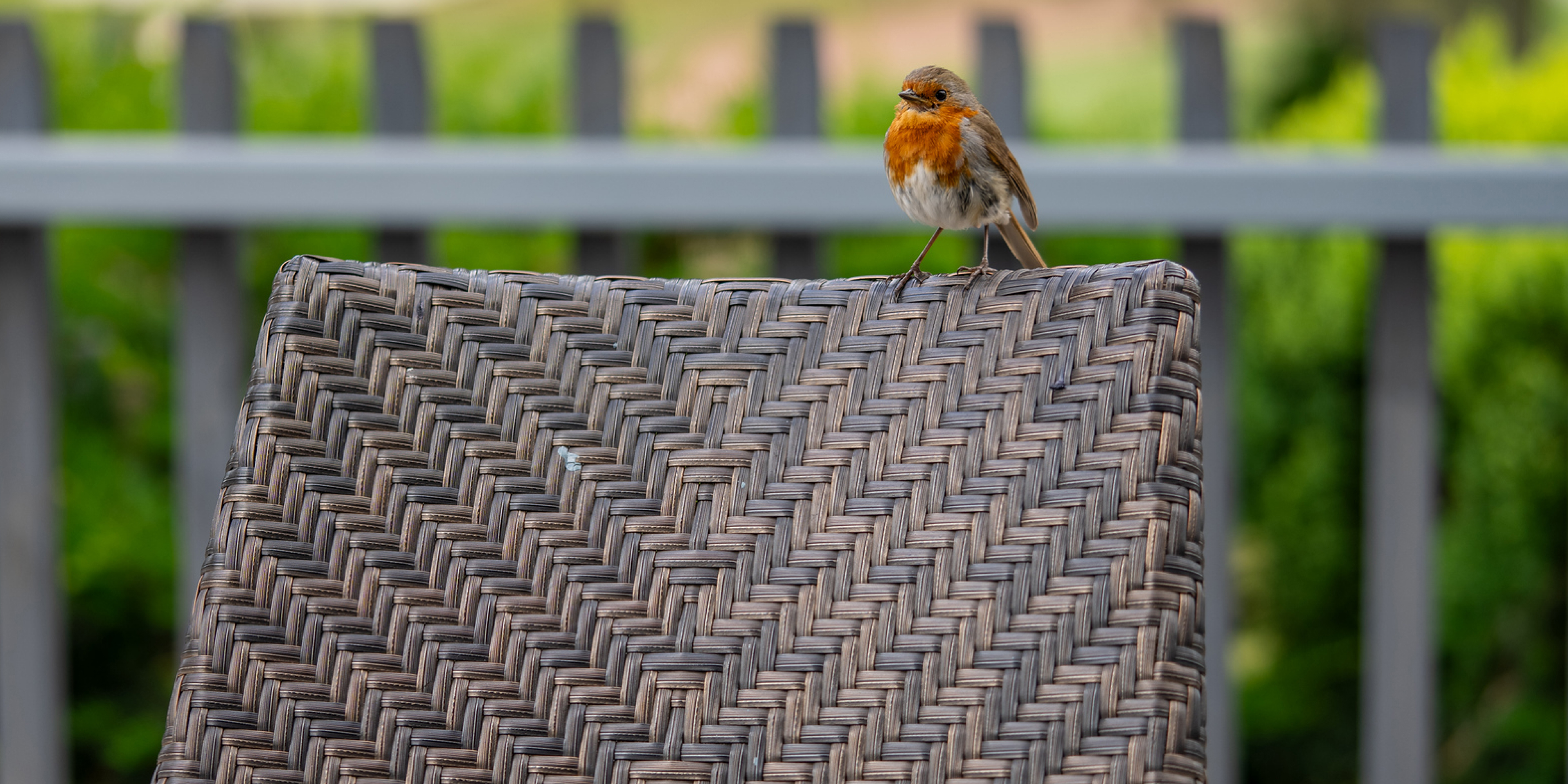 Tripadvisortestimonial Desktop Testimonials