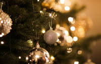 Hotel Carousel (Festive Events) Carousel Desktop